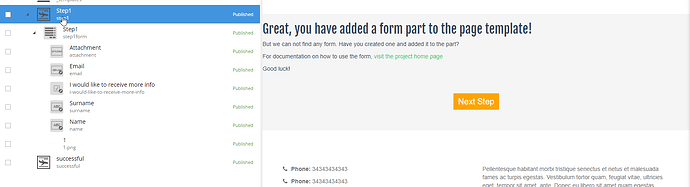 form1